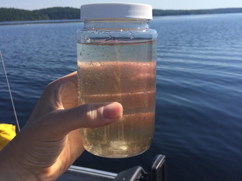 An example of a water sample to be sent for further lab testing to measure https://www.epa.gov/wqc/aquatic-life-criteria-ammonia#:~:text=affect%20Aquatic%20Life%3F-,What%20is%20Ammonia%3F,toxic%20effects%20on%20aquatic%20life.