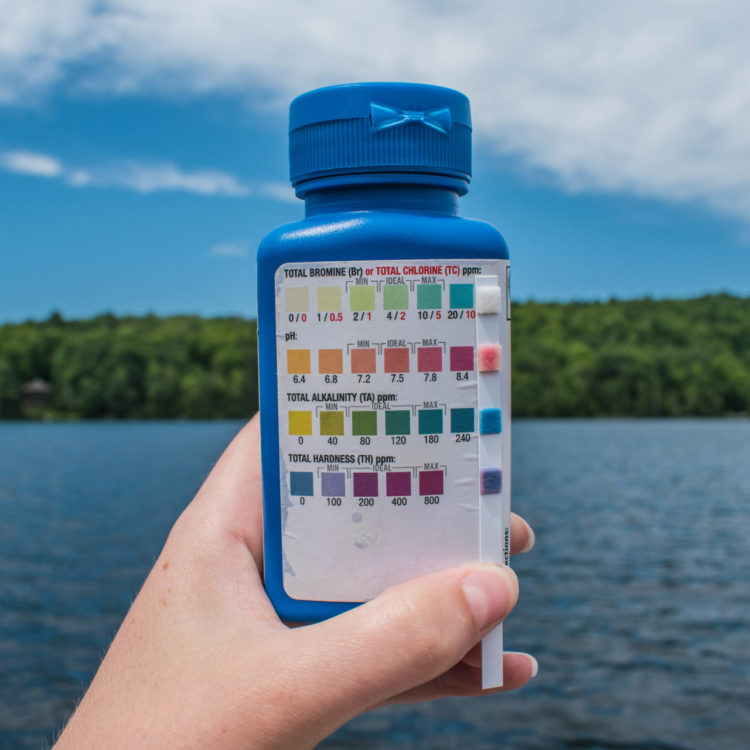 The taylor test strip bottled and reference chart, used to measure alkalinity in freshwater by comparing colour change.