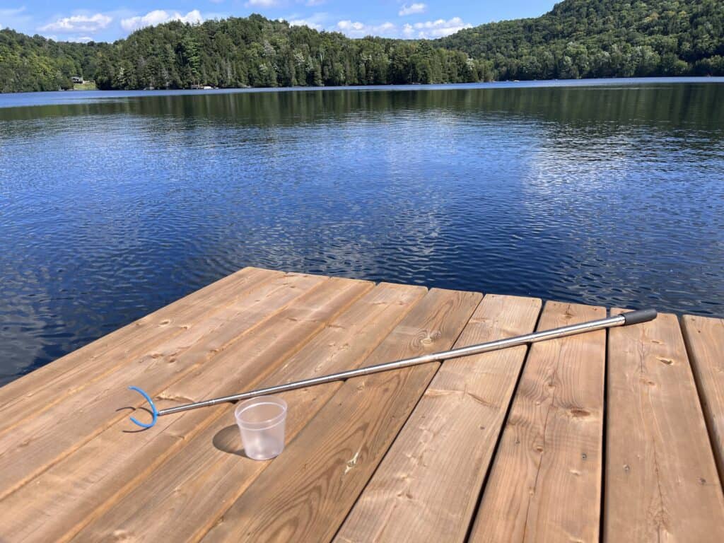 Sample reacher stick