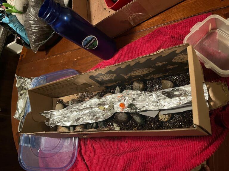 Measuring flow rate with a river model - Water Rangers