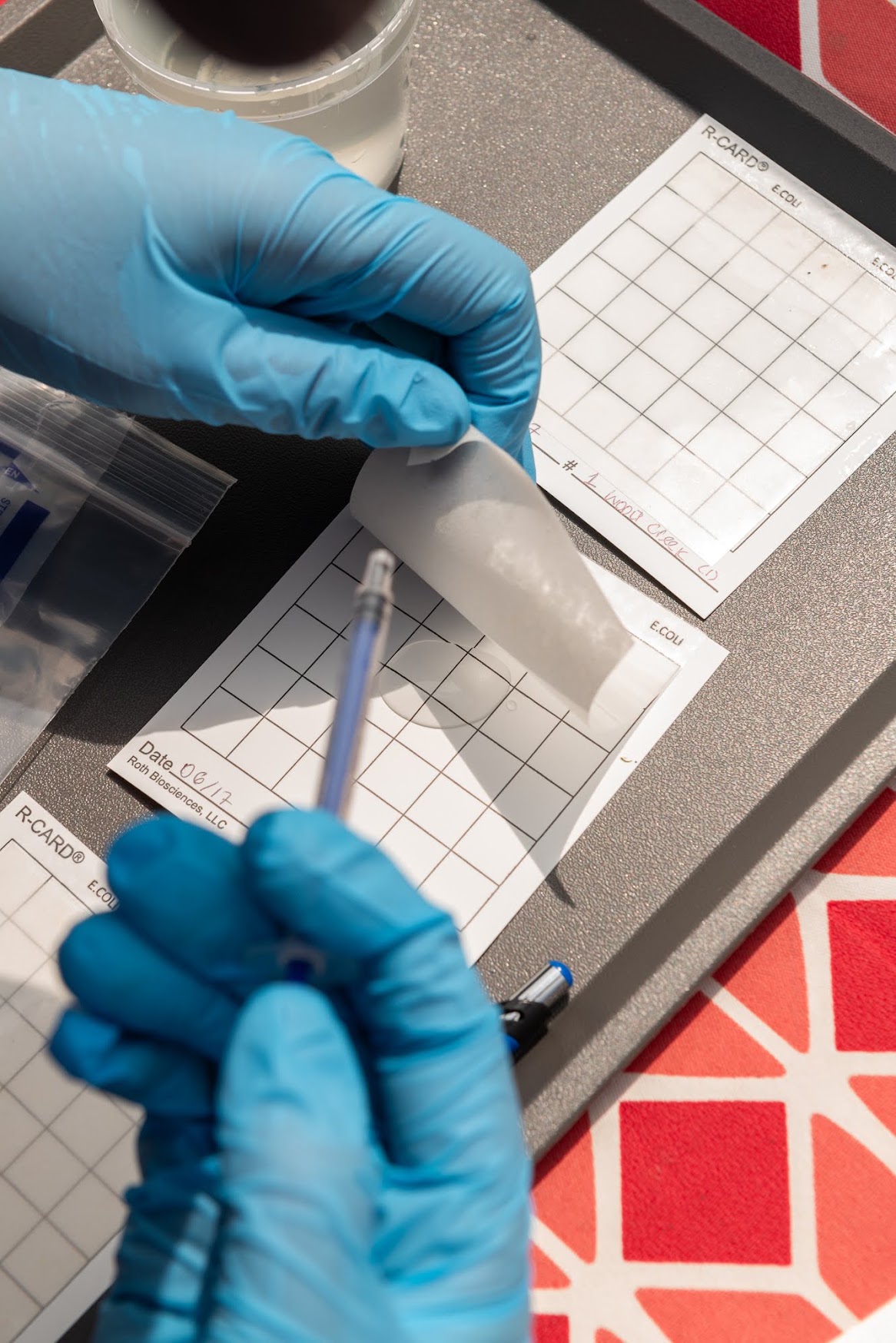 E. Coli Testkit - Image 4